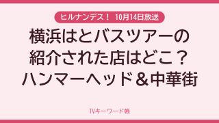 ヒルナンデス！ 10月14日放送 横浜はとバスツアーの紹介された店はどこ？ハンマーヘッド＆中華街