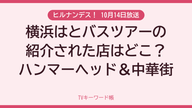ヒルナンデス！ 10月14日放送 横浜はとバスツアーの紹介された店はどこ？ハンマーヘッド＆中華街